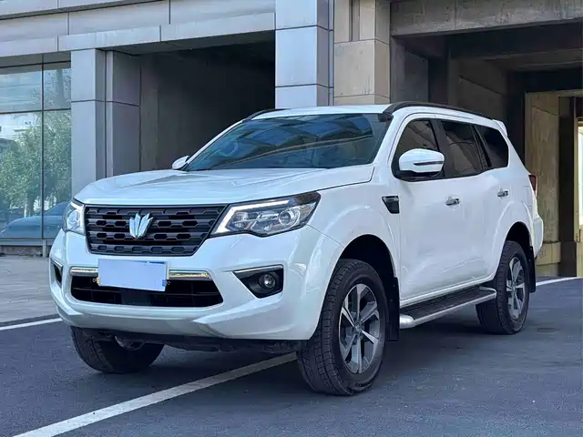Dongfeng Fengdu Paladin