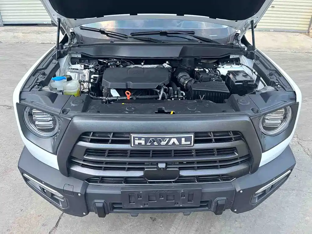 Haval Big Dog — миниатюра 7