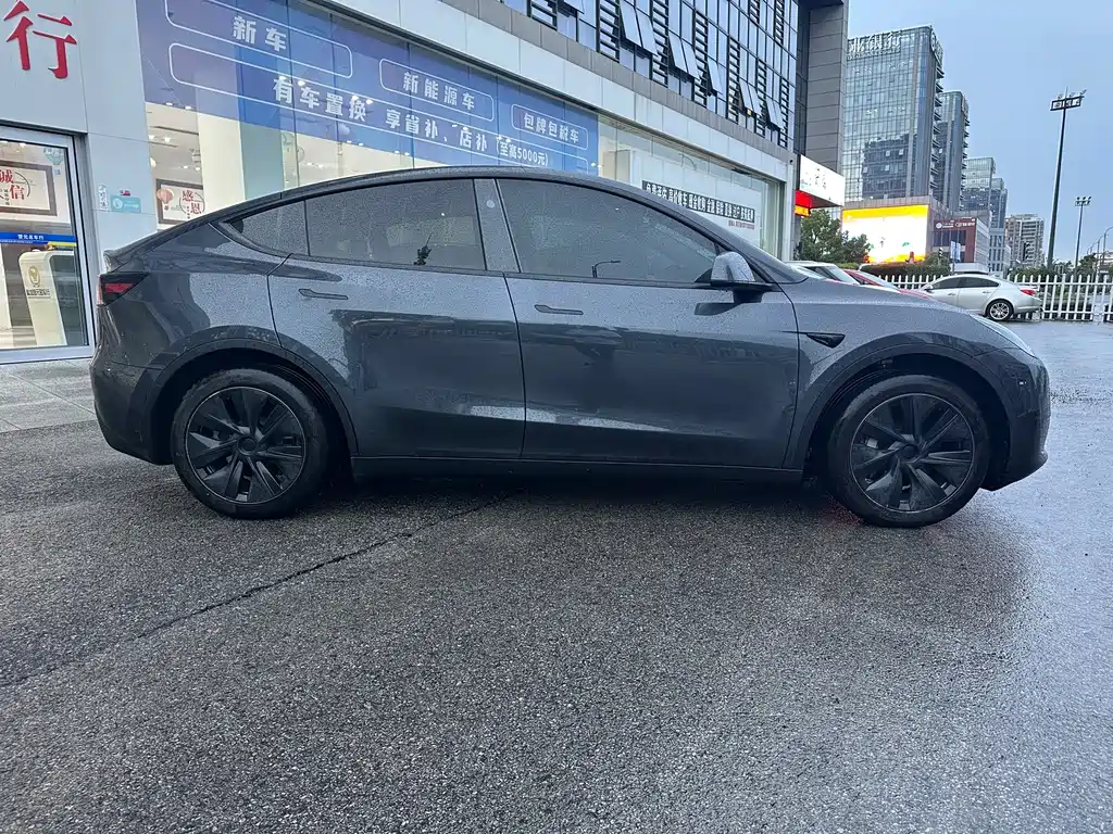Tesla Model Y — миниатюра 4