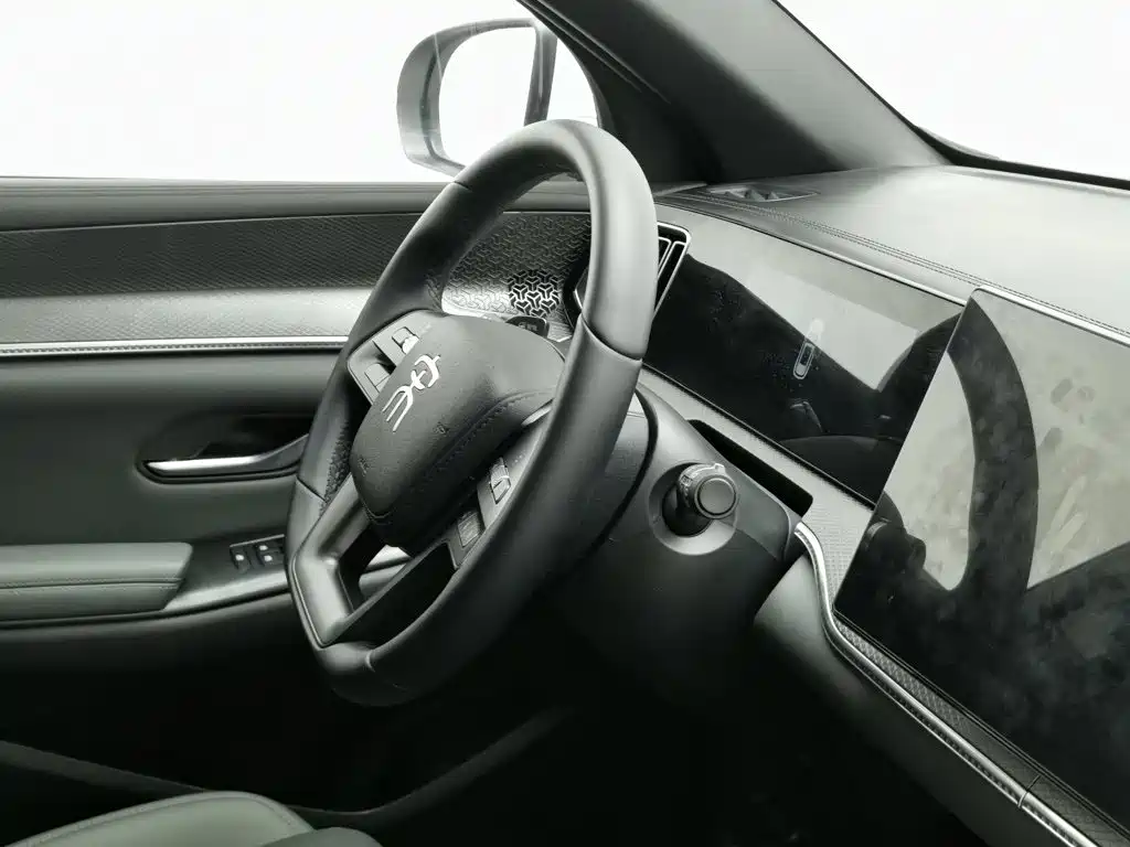 BYD Pro New Energy — миниатюра 22