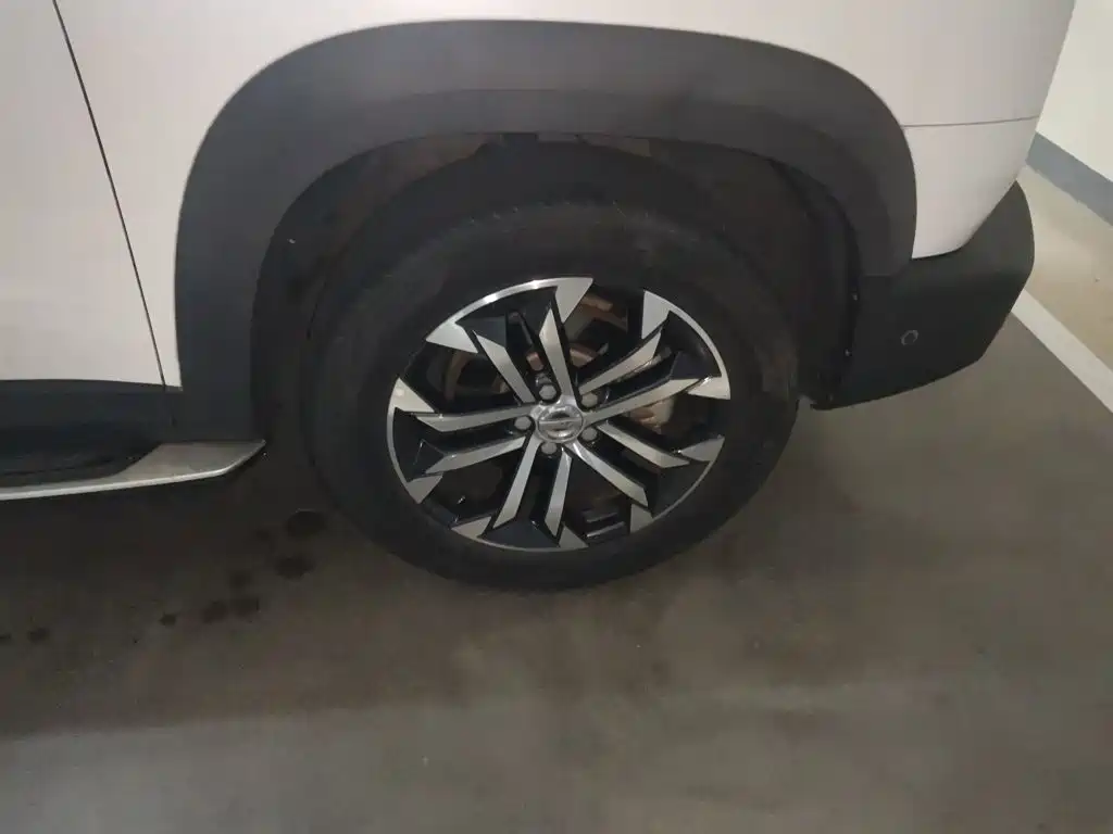 Haval Big Dog — миниатюра 10
