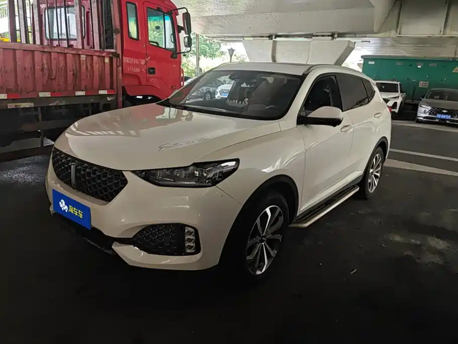 Wey Wey VV6
