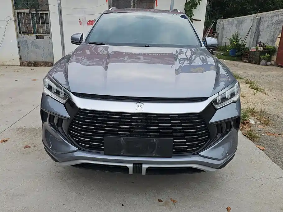 BYD Pro New Energy - фото 2