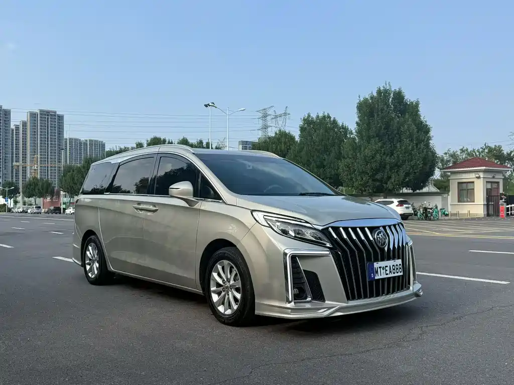 Buick GL8 — миниатюра 3