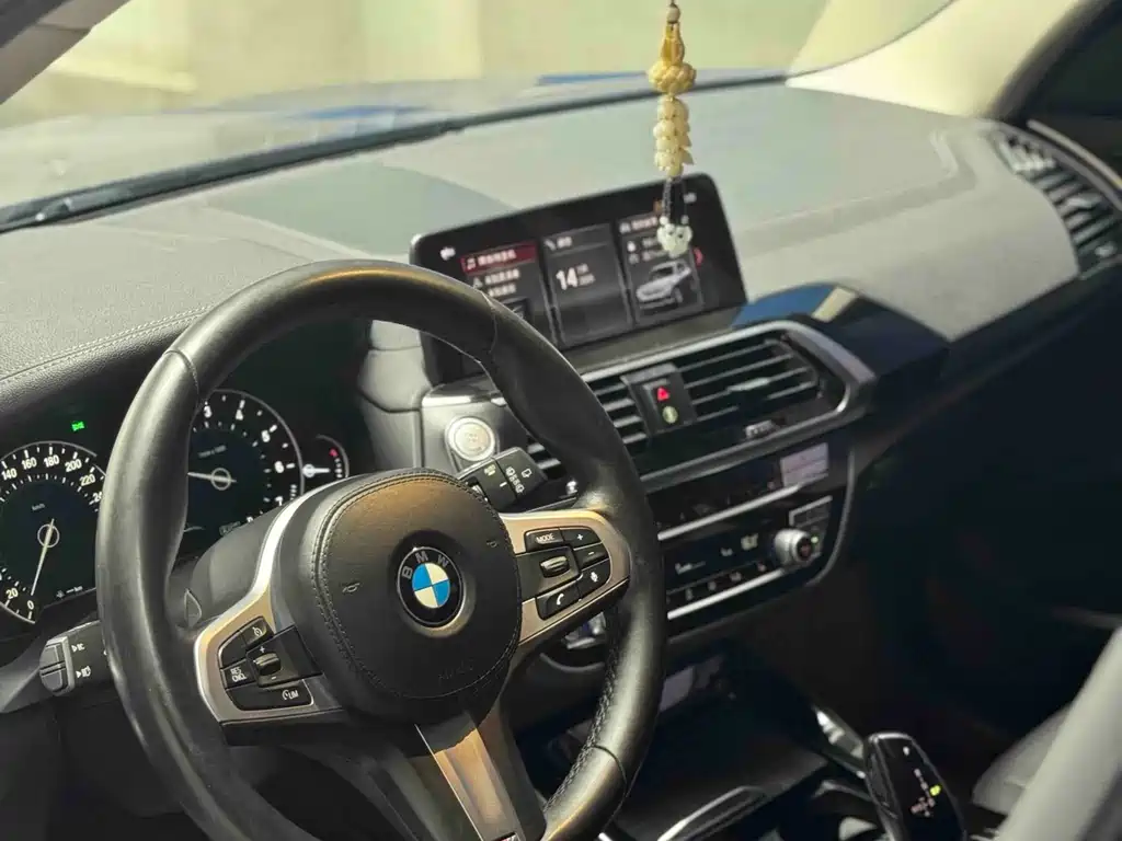 BMW X3 2018 xDrive25i M Sport VI