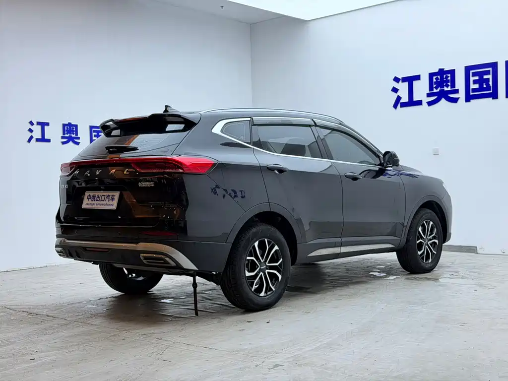 Haval H6 — миниатюра 18