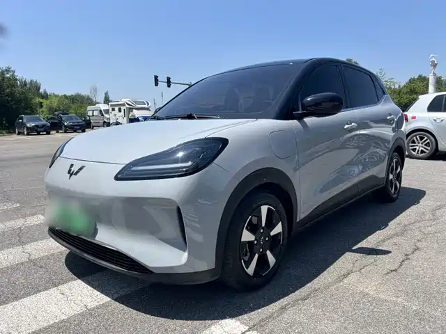 2024 Wuling Motors Binguo