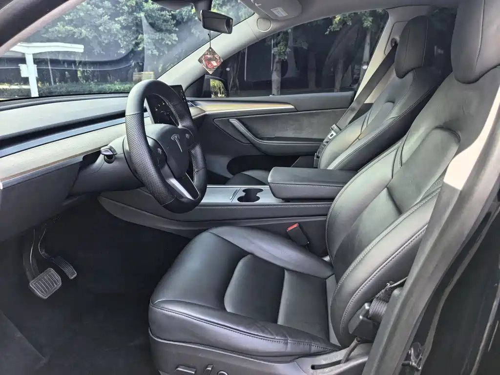 Tesla Model Y — миниатюра 8