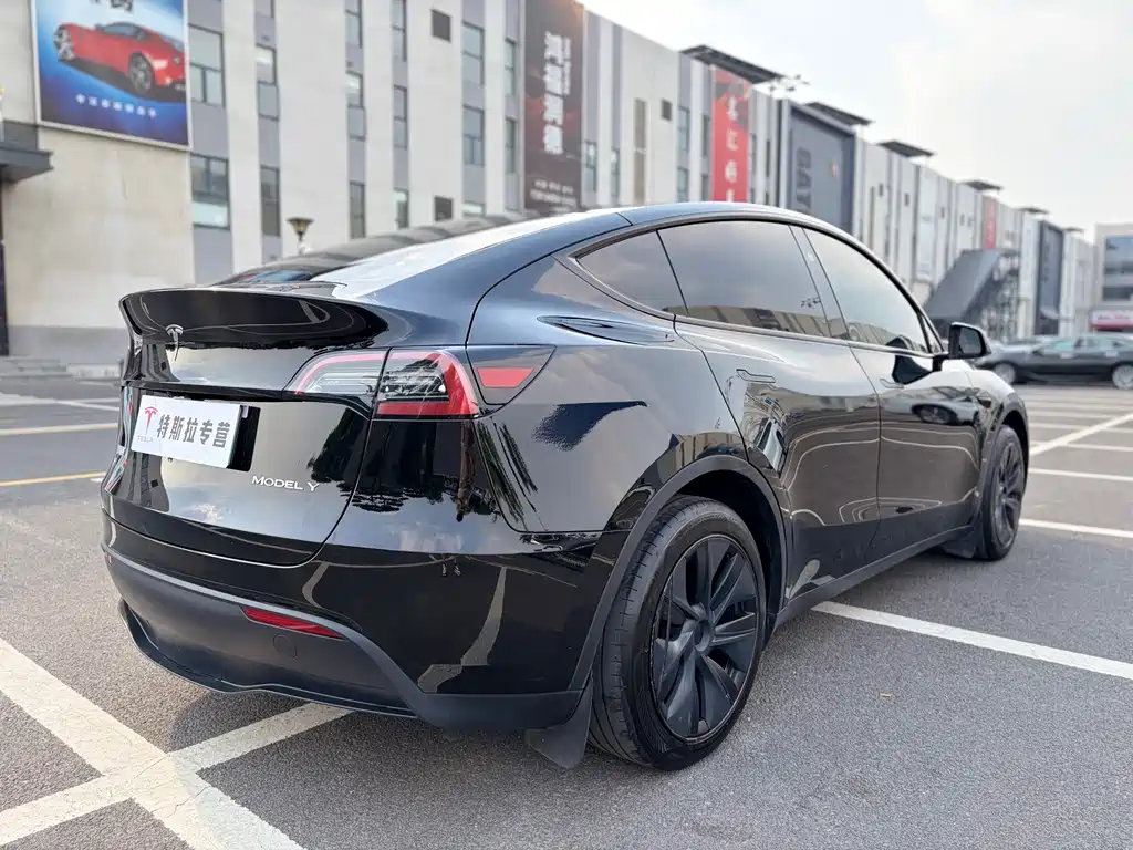 Tesla Model Y — миниатюра 6