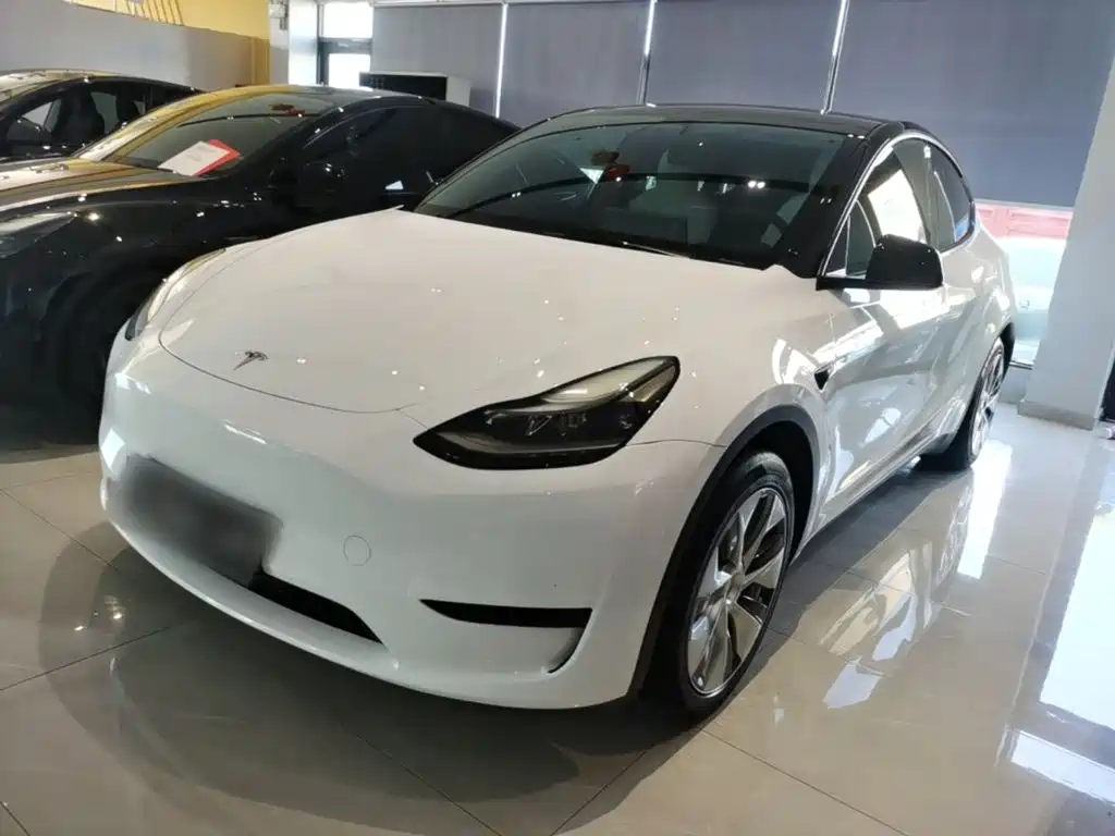 Tesla Model Y — миниатюра 2