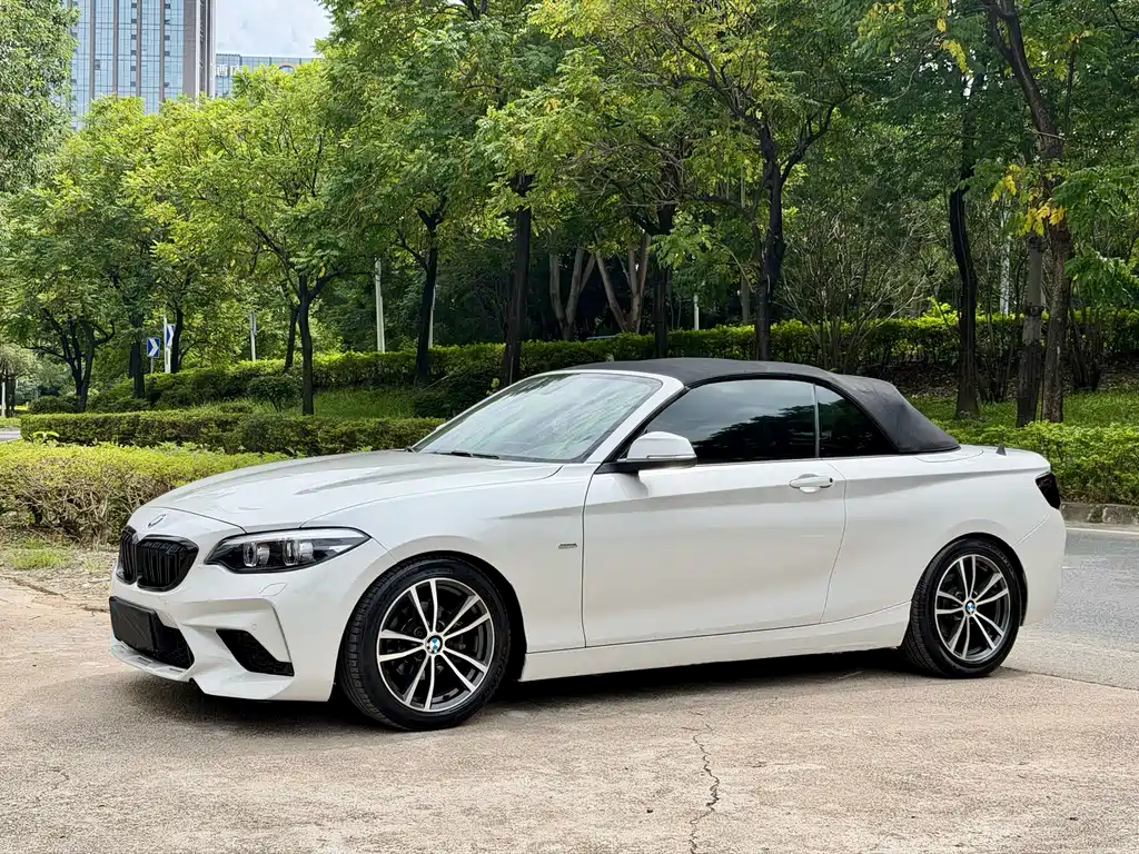 BMW 2 Series (Import) 2017