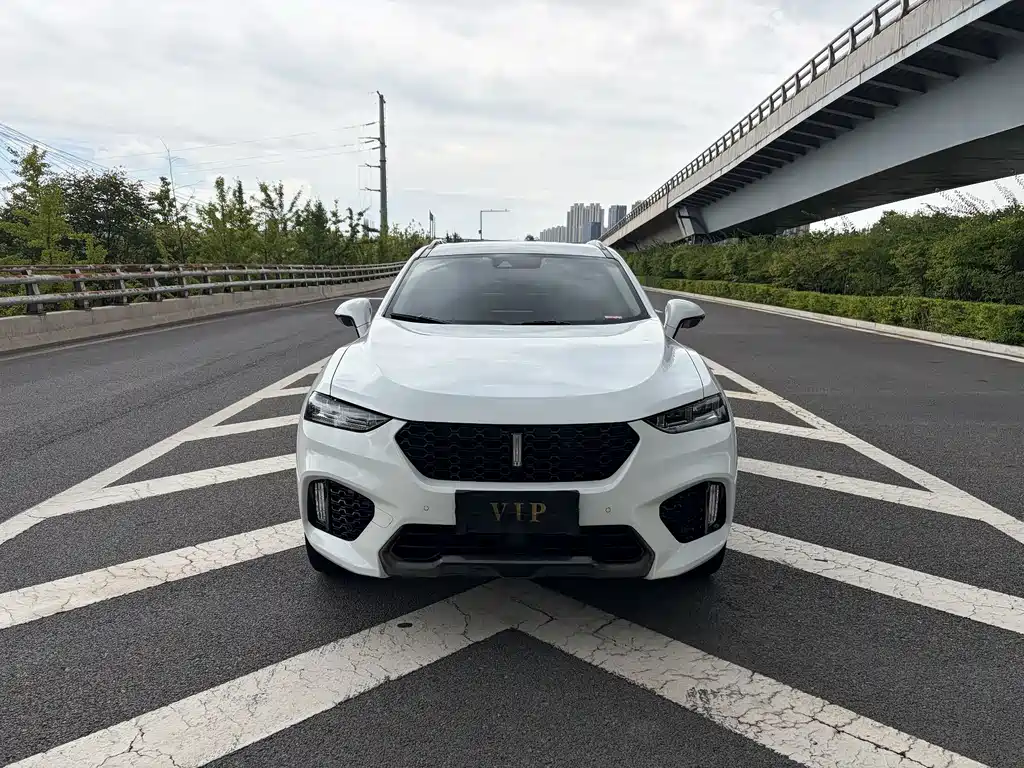 Wey Wey VV7 — миниатюра 2