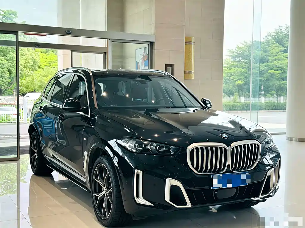 BMW X5 — миниатюра 3