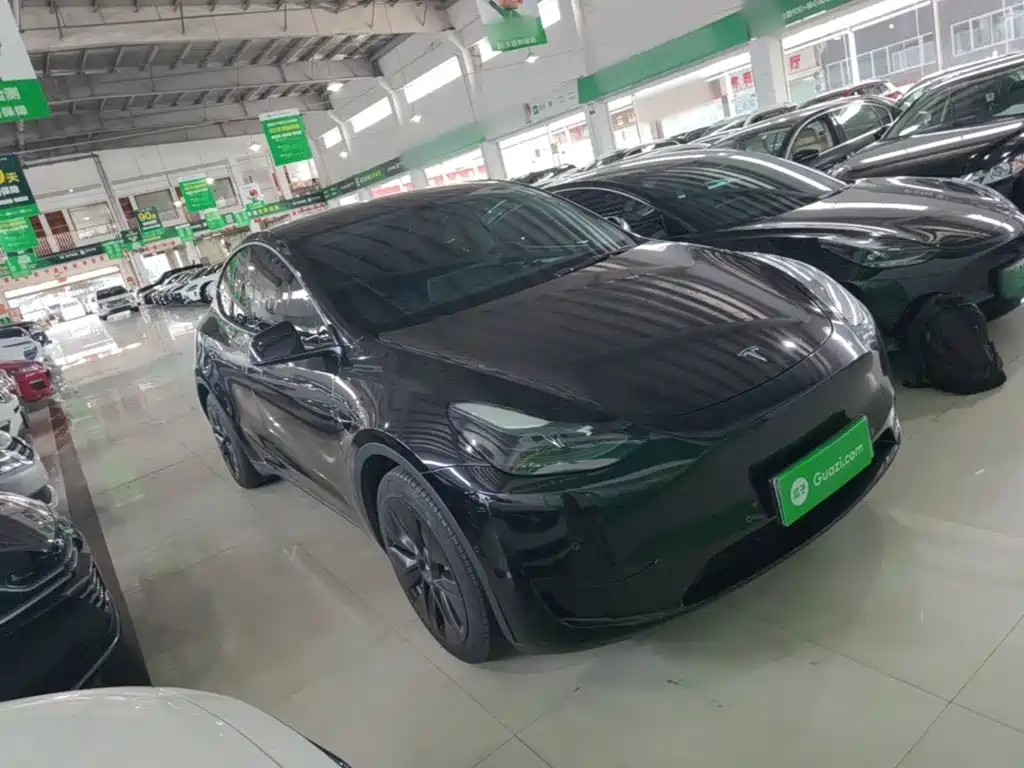 Tesla Model Y — миниатюра 4