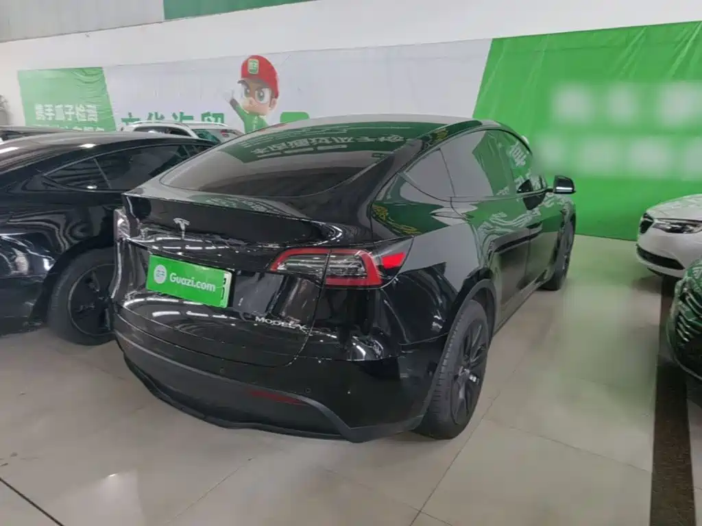 Tesla Model Y — миниатюра 7