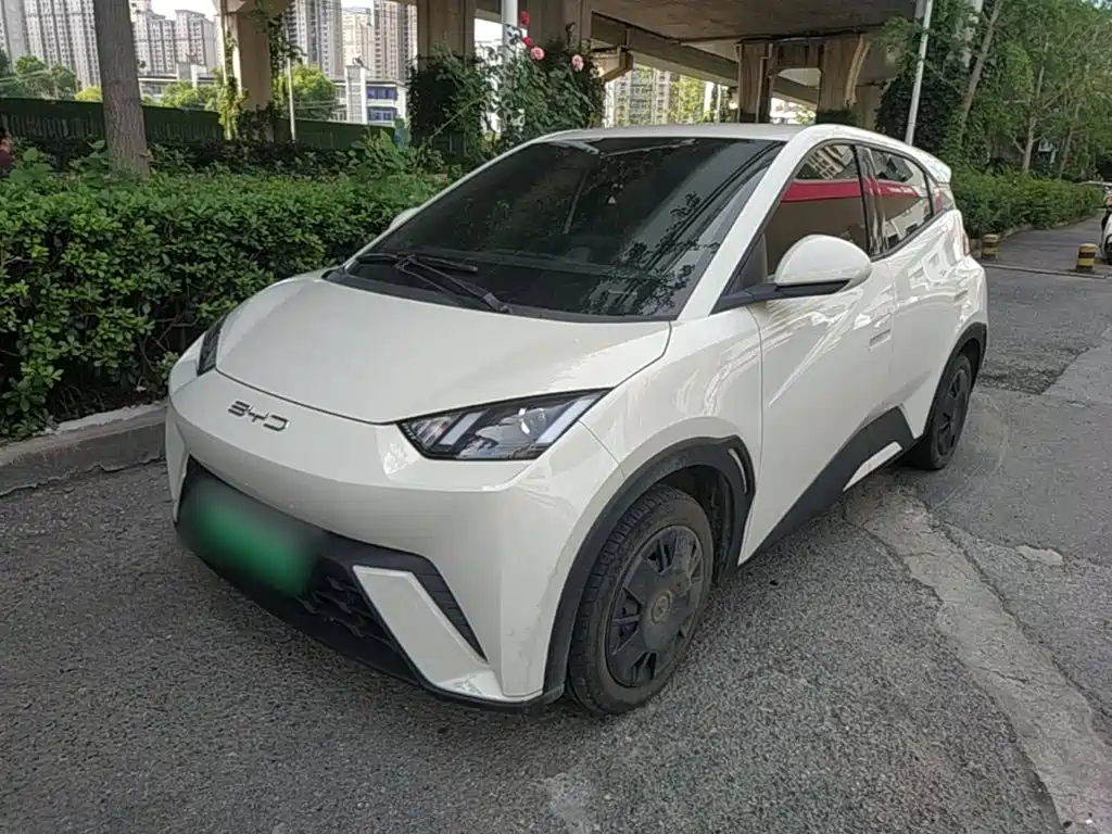BYD Seagull