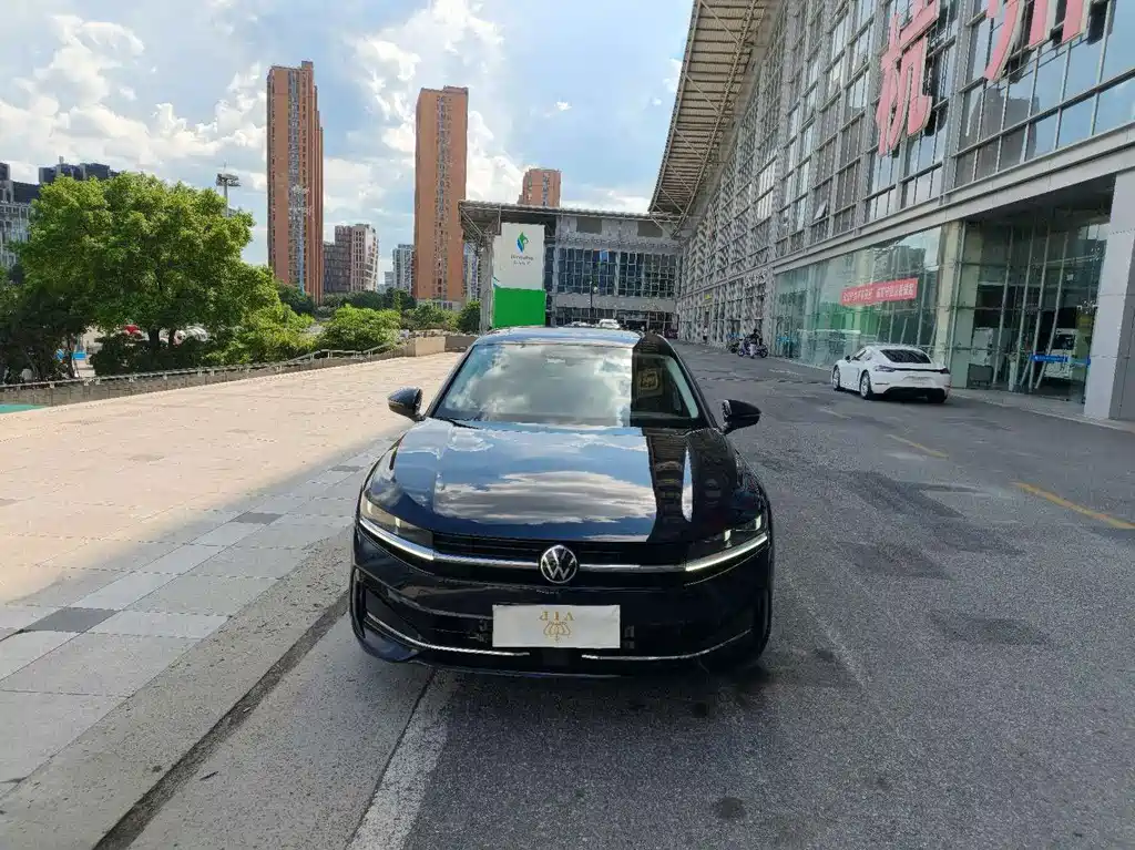Volkswagen Magotan — миниатюра 2