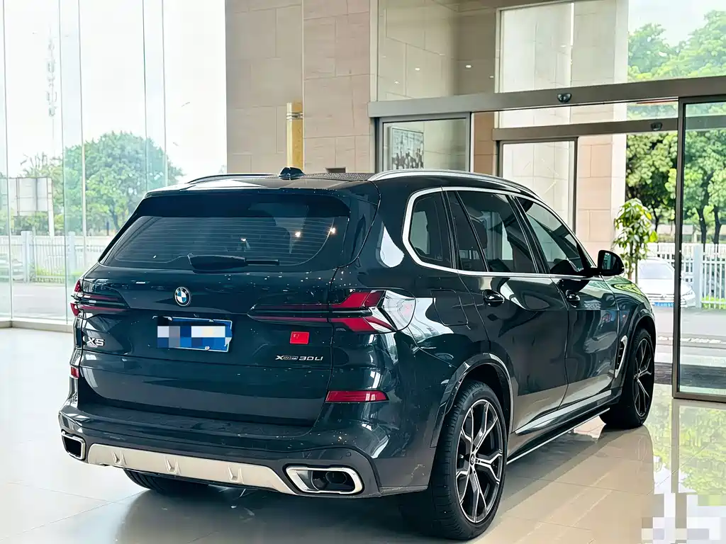 BMW X5 — миниатюра 8