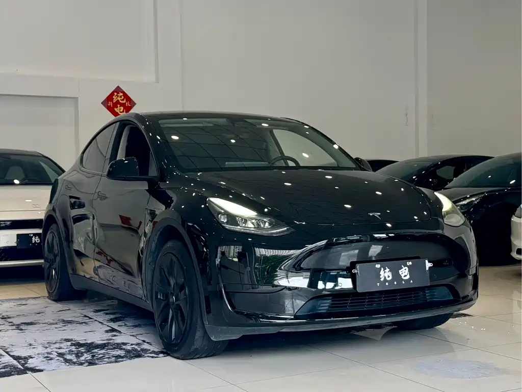 Tesla Model Y — миниатюра 3