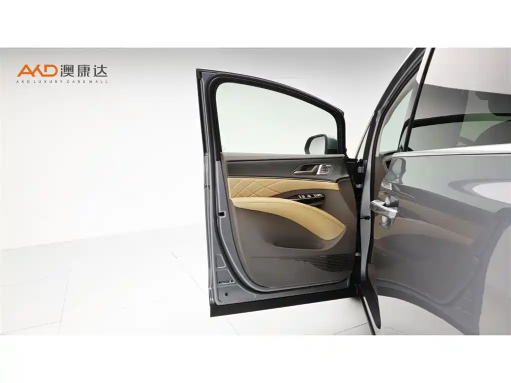 Denza Denza D9 — миниатюра 11