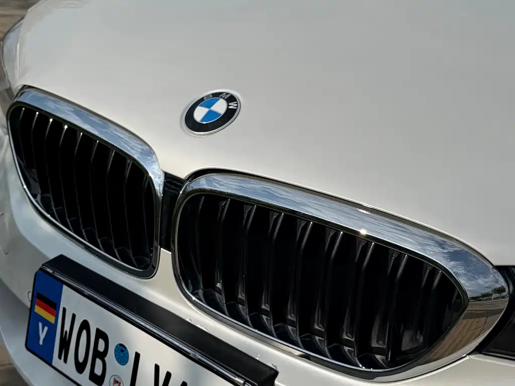 BMW 5 Series 5 2018 530Li xDrive M Sport