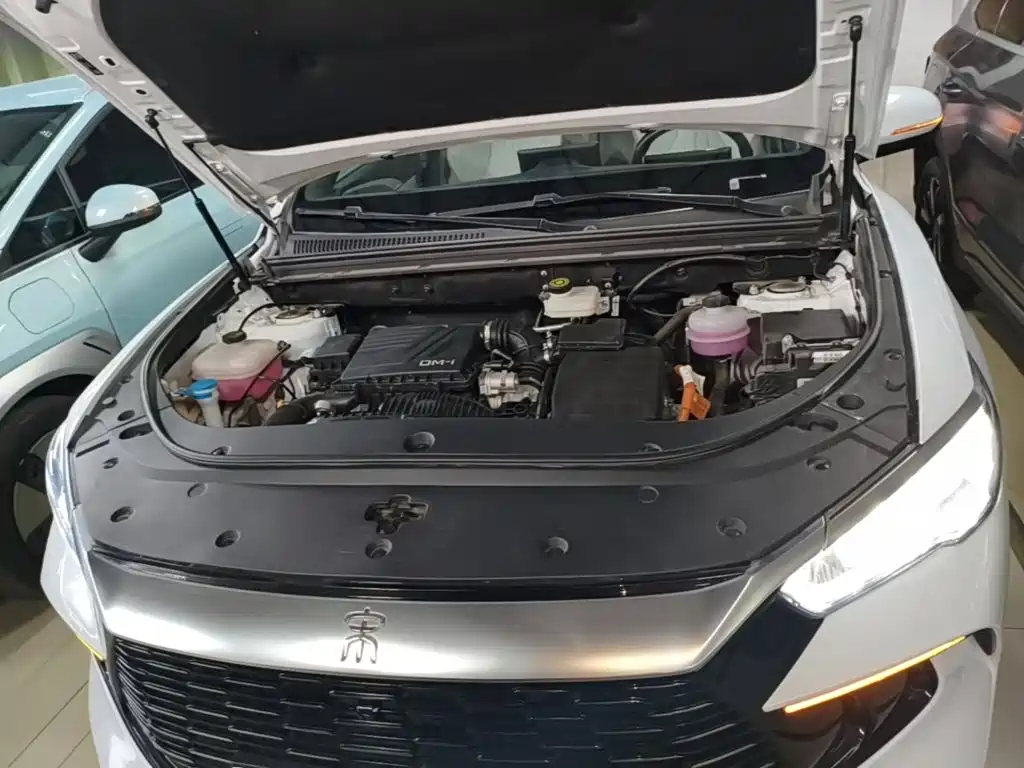 BYD Pro New Energy — миниатюра 20