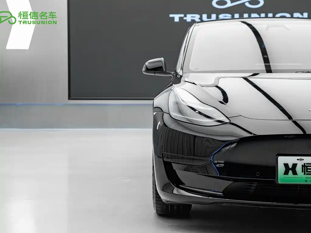 Tesla Model 3 2021 3D6