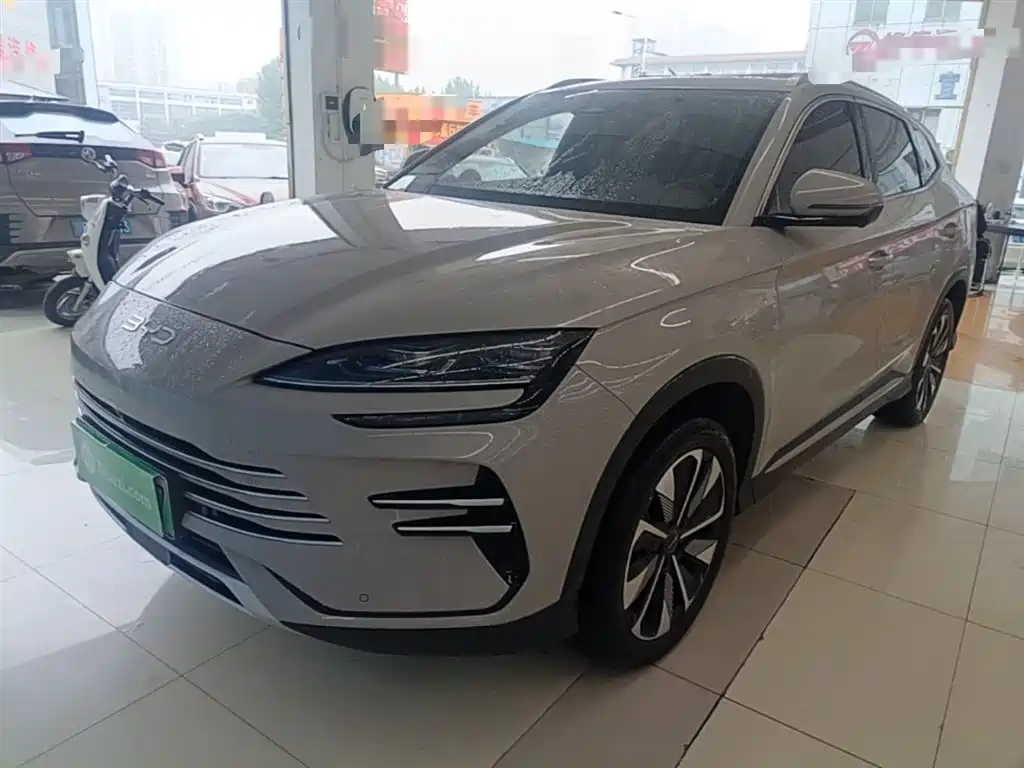 Byd PLUS New Energy 2024