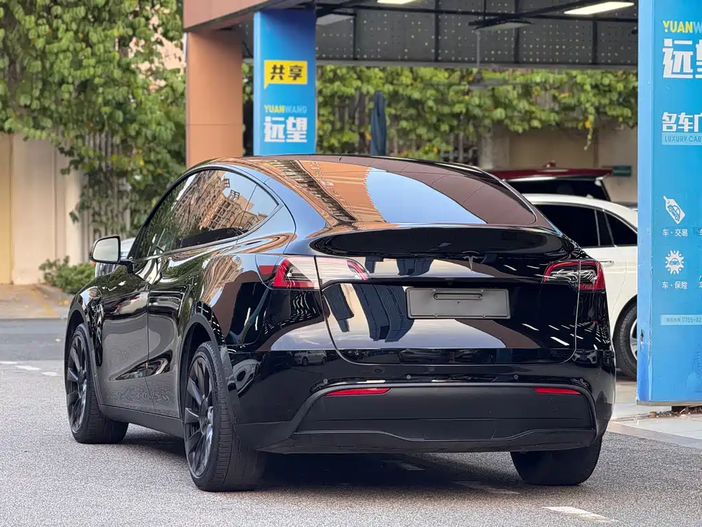 Tesla Model Y — миниатюра 5