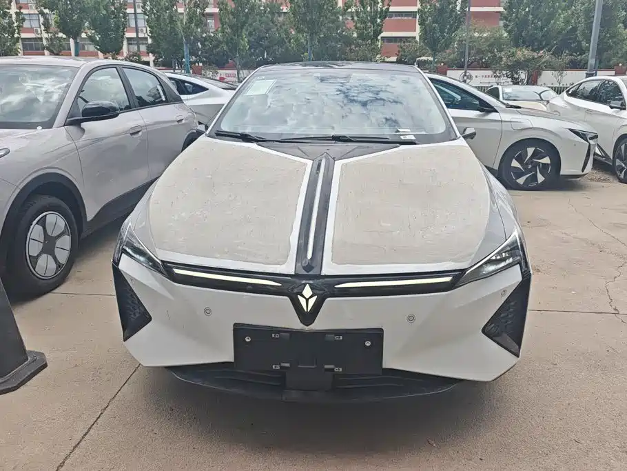 Lingxi Lingxi L — миниатюра 2