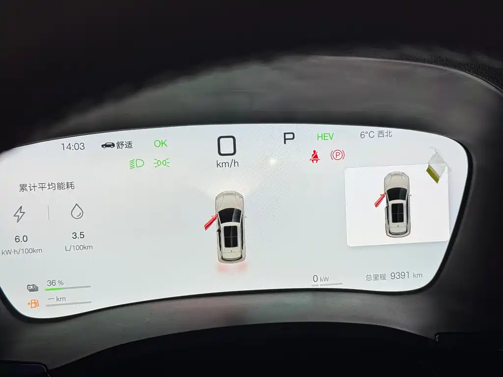 BYD SONGJIANG NEW ENERGY