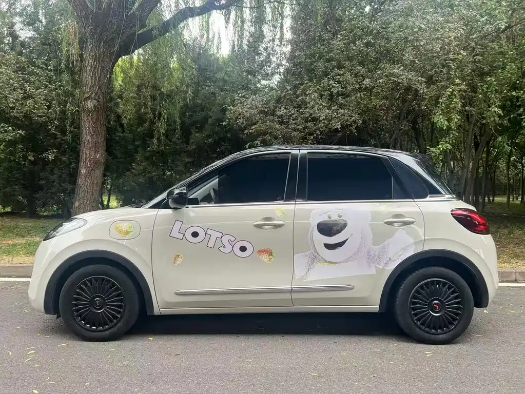 Wuling Binguo 2023 333km +