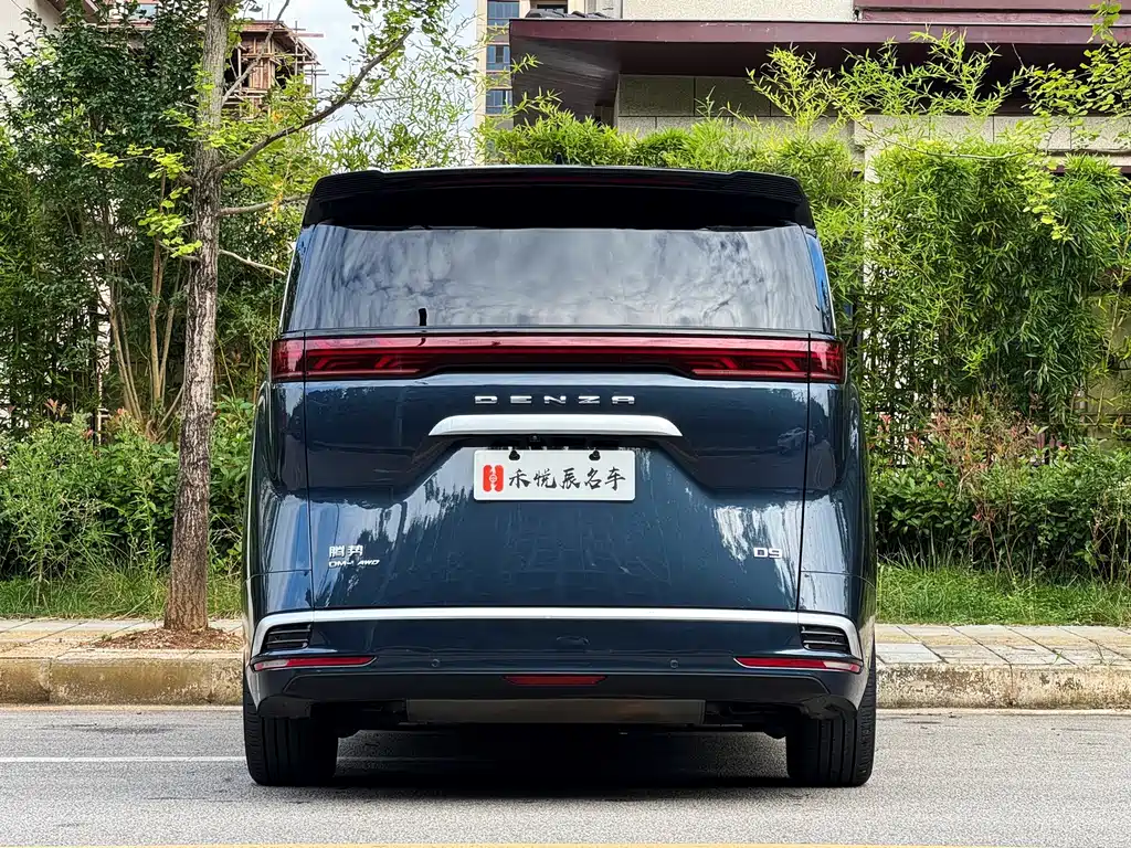 Denza Denza D9 — миниатюра 15