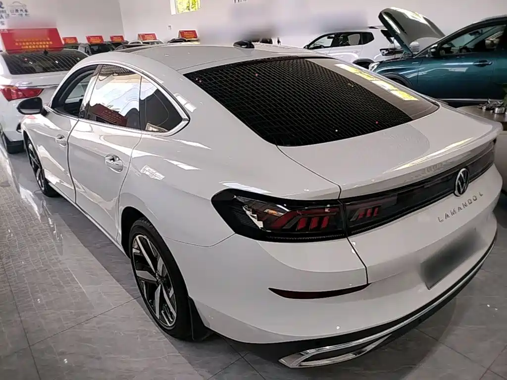 Volkswagen Lamando — миниатюра 5