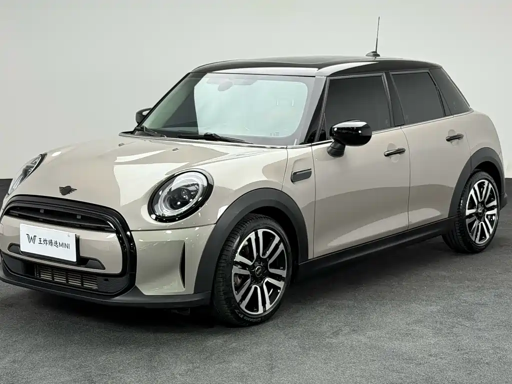 Mini Mini 2021
