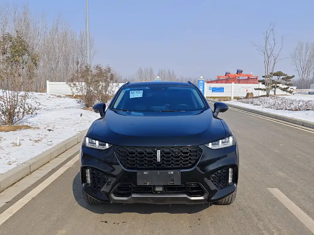 WEI PAI WEI BRAND VV7