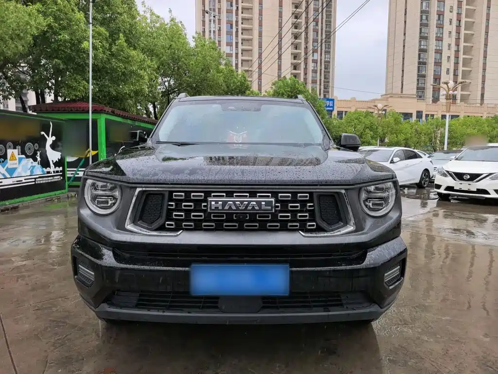 Haval Haval Big Dog PLUS — миниатюра 11