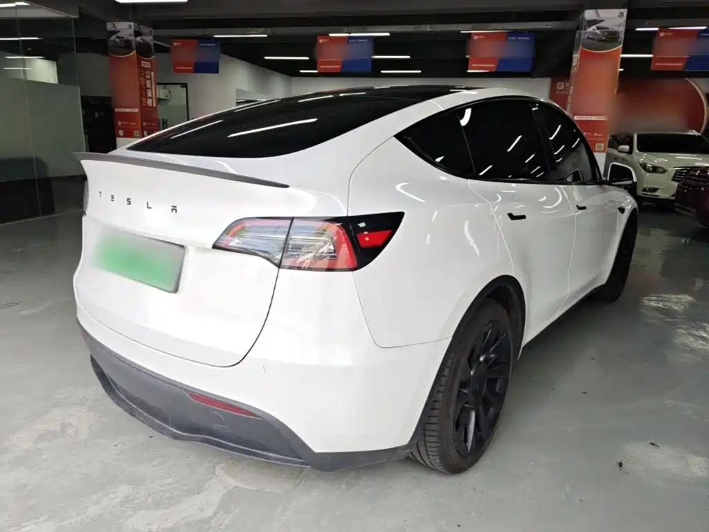 Tesla Model Y — миниатюра 7