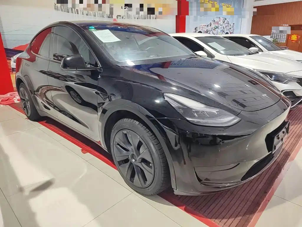 Tesla Model Y — миниатюра 4