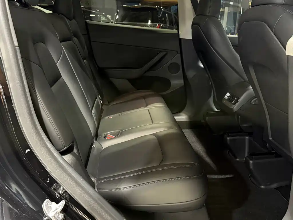 Tesla Model Y — миниатюра 9