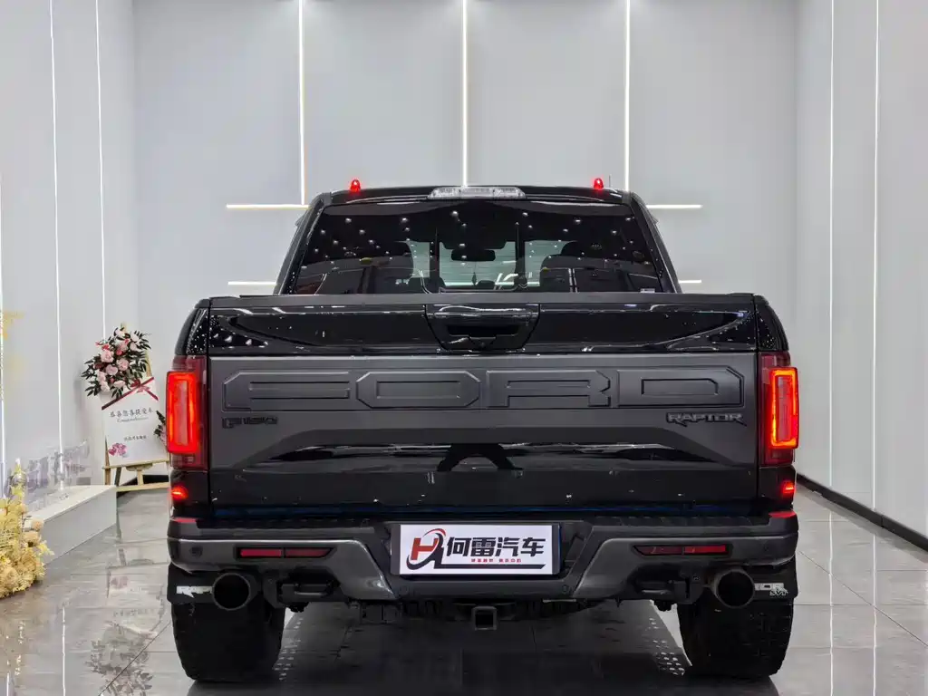 Ford F-150 Raptor - фото 8