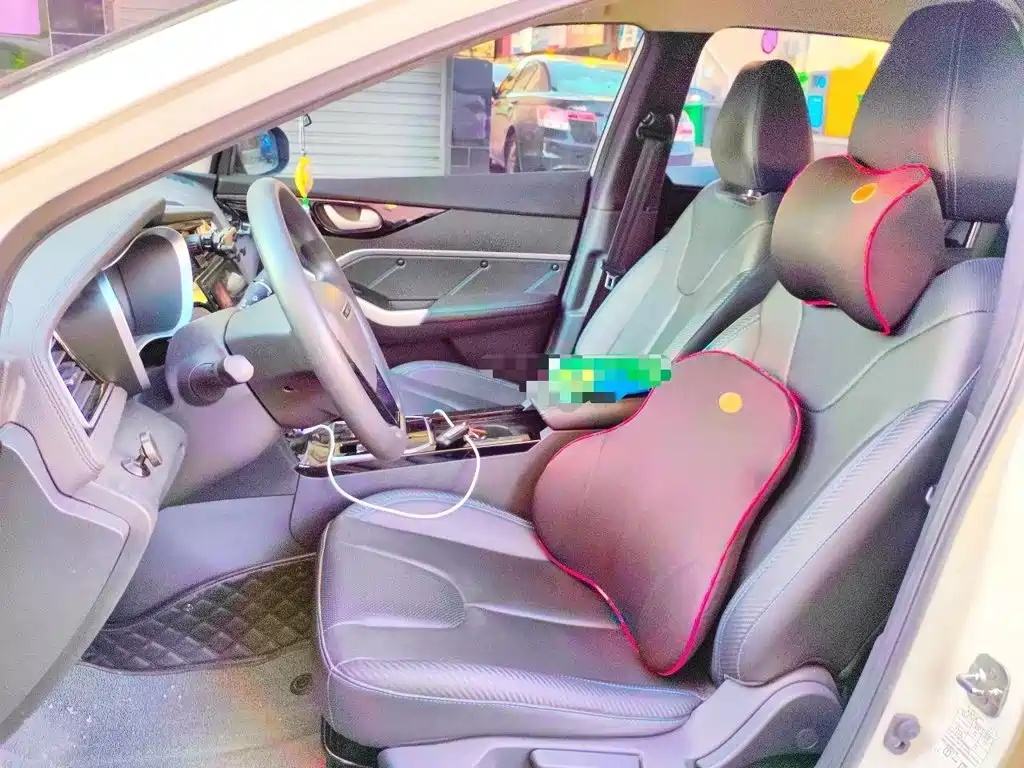 Venucia D60 EV — миниатюра 8