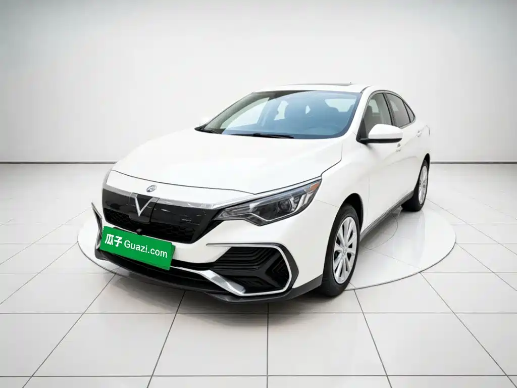 Venucia D60 EV — миниатюра 2