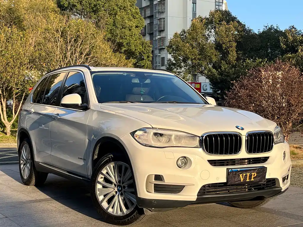 BMW X5 (Import) — миниатюра 15