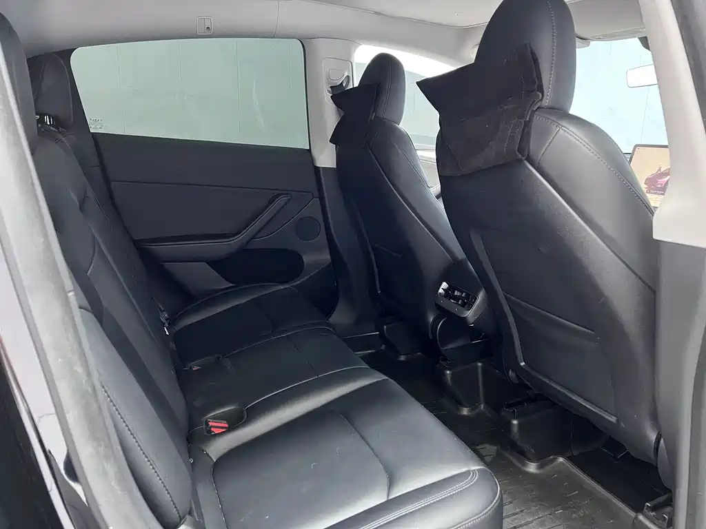 Tesla Model Y — миниатюра 11