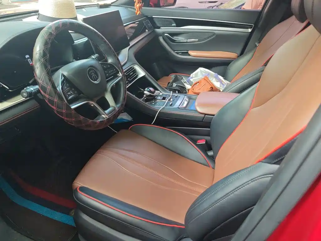 BYD PLUS — миниатюра 8