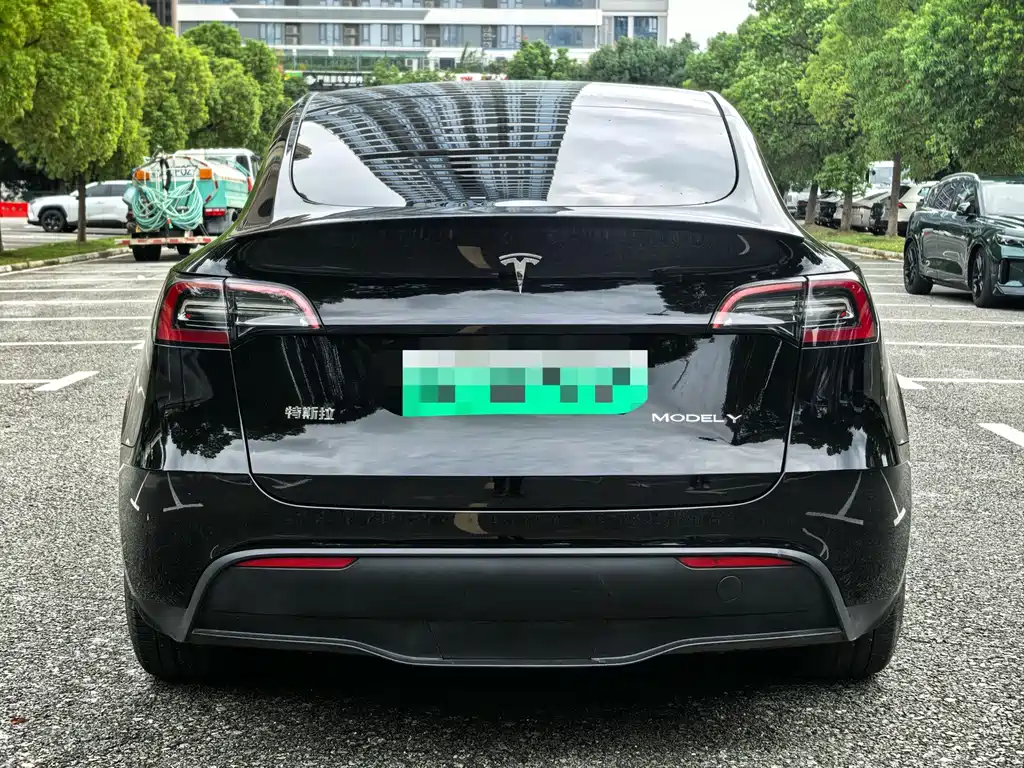 Tesla Model Y — миниатюра 18