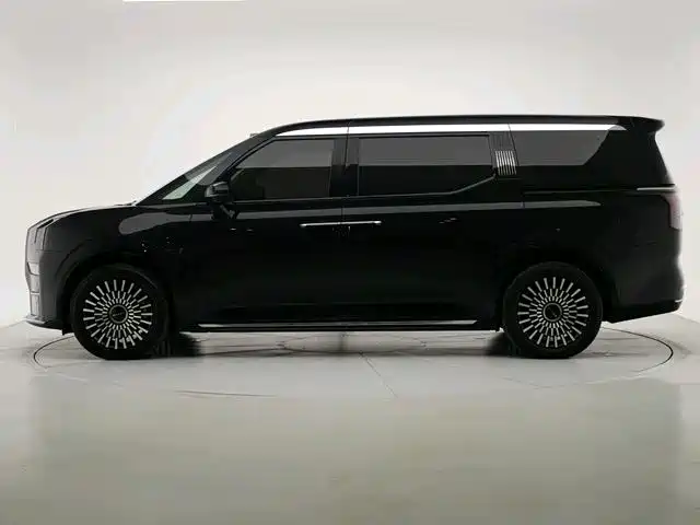 Zeekr 009 2024 мест Executive 108kWh