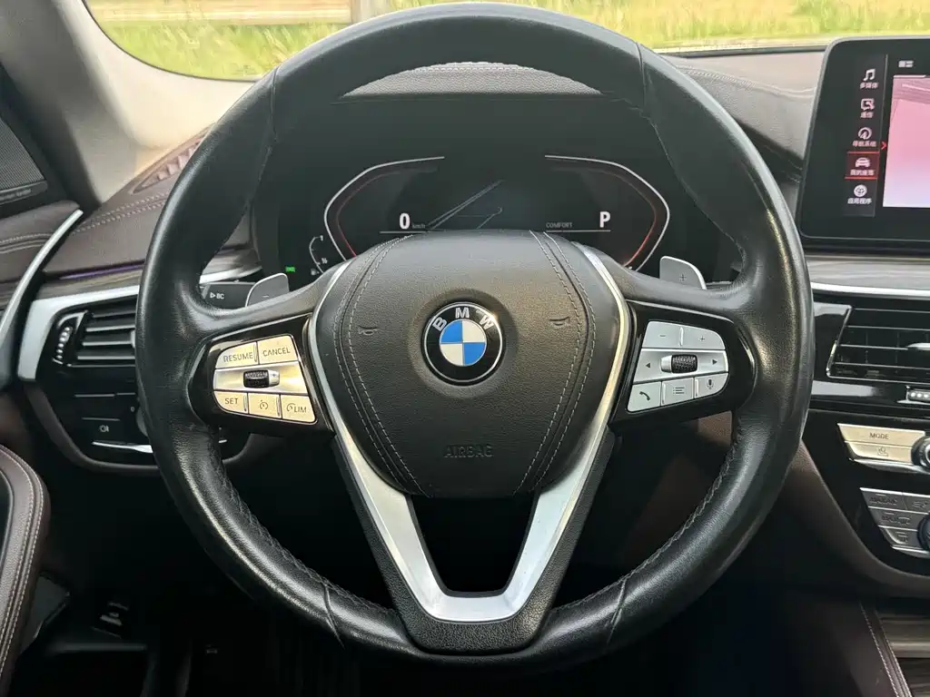 BMW 5 Series 5 2023 530Li Lead Luxury