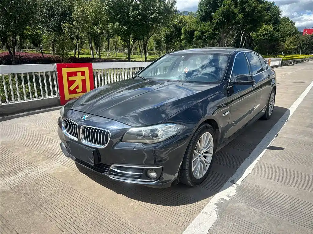 BMW 5 Series 2015